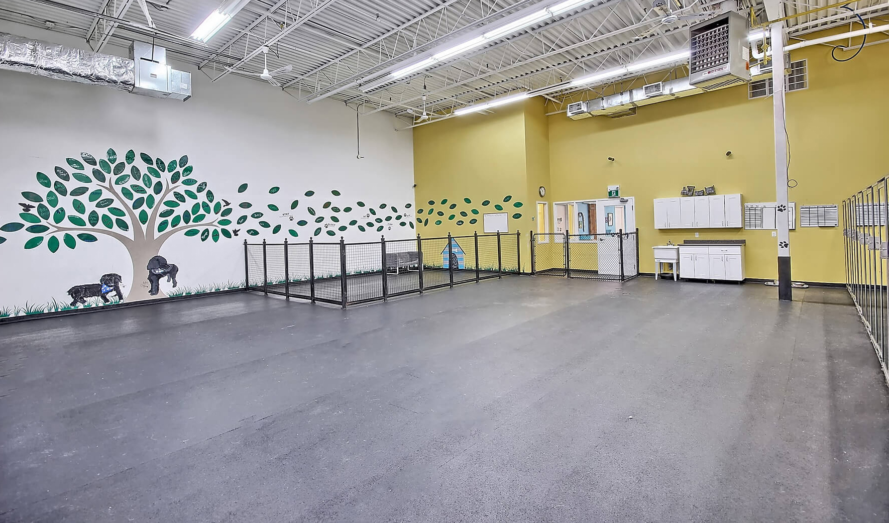 Do It Yourself Dog Wash Newmarket Bubblez Dog Studio Professional