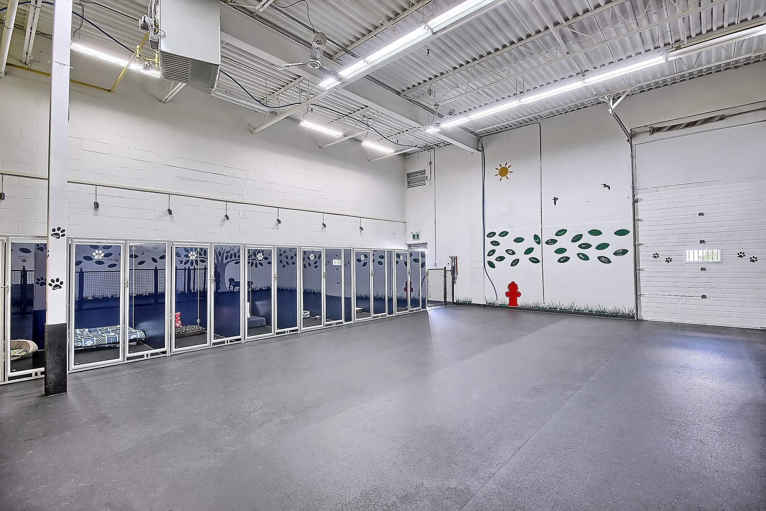 Dog Boarding Wag Awhile