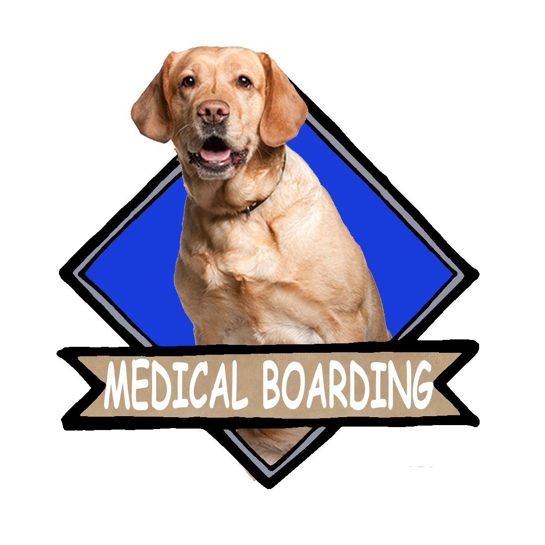 medicalboardingservice Wag Awhile